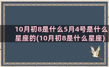 10月初8是什么5月4号是什么星座的(10月初8是什么星座)