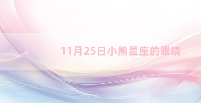 11月25日小熊星座的眼睛