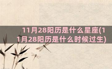 11月28阳历是什么星座(11月28阳历是什么时候过生)