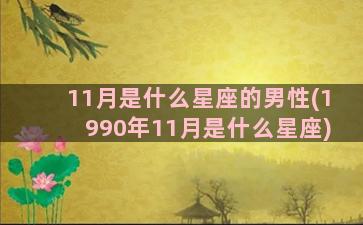 11月是什么星座的男性(1990年11月是什么星座)