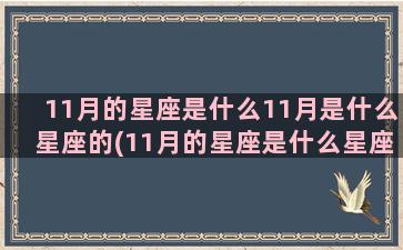 11月的星座是什么11月是什么星座的(11月的星座是什么星座男生)