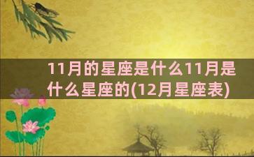 11月的星座是什么11月是什么星座的(12月星座表)