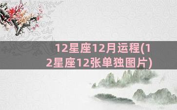 12星座12月运程(12星座12张单独图片)