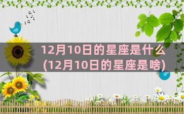 12月10日的星座是什么(12月10日的星座是啥)