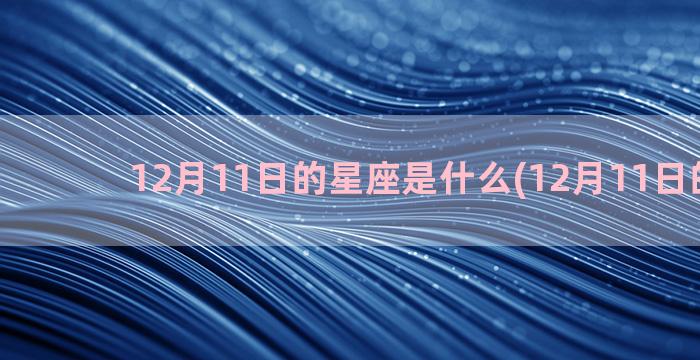 12月11日的星座是什么(12月11日的星位)