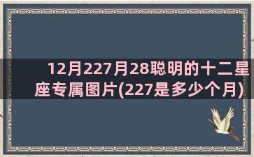 12月227月28聪明的十二星座专属图片(227是多少个月)