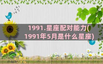 1991.星座配对能力(1991年5月是什么星座)