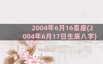 2004年6月16星座(2004年6月17日生辰八字)