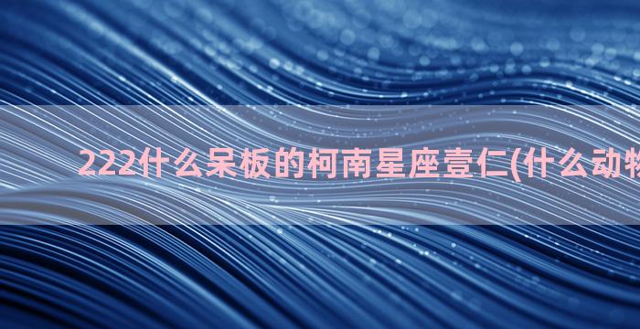 222什么呆板的柯南星座壹仁(什么动物最呆板)