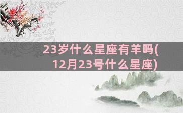 23岁什么星座有羊吗(12月23号什么星座)