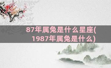 87年属兔是什么星座(1987年属兔是什么)