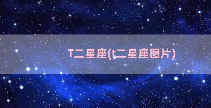 T二星座(t二星座图片)