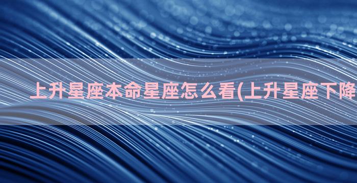 上升星座本命星座怎么看(上升星座下降星座查询)