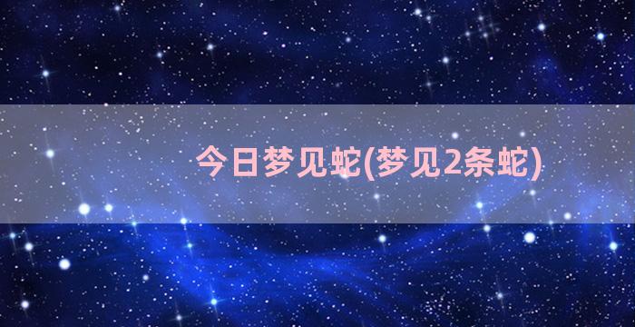 今日梦见蛇(梦见2条蛇)