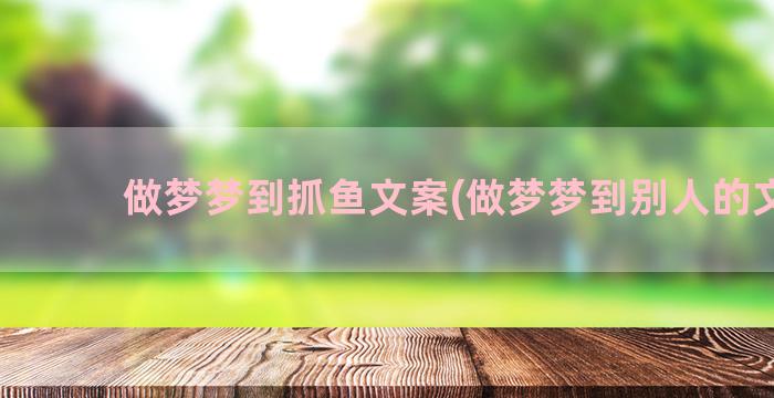 做梦梦到抓鱼文案(做梦梦到别人的文案)