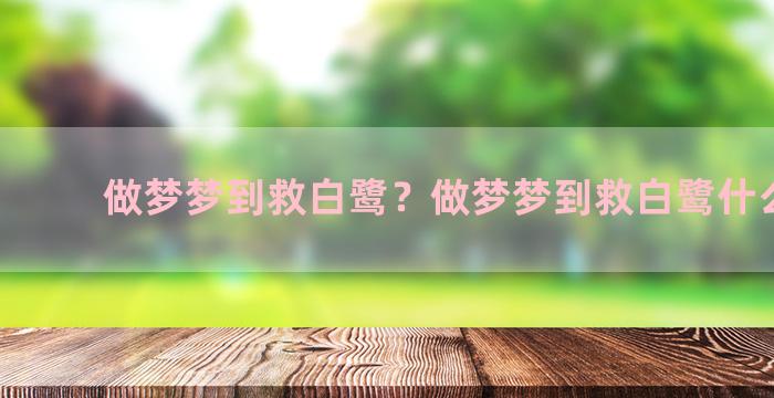 做梦梦到救白鹭？做梦梦到救白鹭什么意思