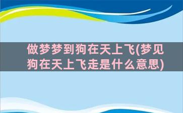 做梦梦到狗在天上飞(梦见狗在天上飞走是什么意思)