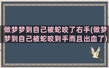 做梦梦到自己被蛇咬了右手(做梦梦到自己被蛇咬到手而且出血了)