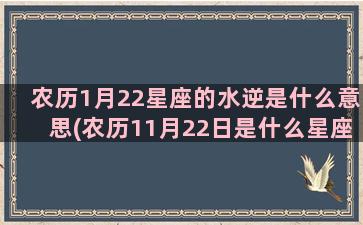 农历1月22星座的水逆是什么意思(农历11月22日是什么星座)