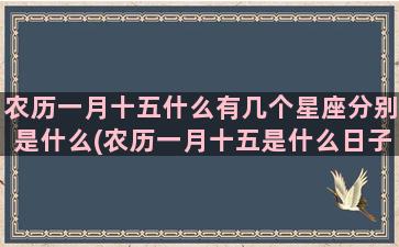 农历一月十五什么有几个星座分别是什么(农历一月十五是什么日子)