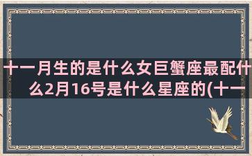 十一月生的是什么女巨蟹座最配什么2月16号是什么星座的(十一月生的是什么星座女)