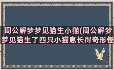 周公解梦梦见猫生小猫(周公解梦梦见猫生了四只小猫崽长得奇形怪状)