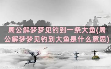 周公解梦梦见钓到一条大鱼(周公解梦梦见钓到大鱼是什么意思)