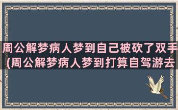 周公解梦病人梦到自己被砍了双手(周公解梦病人梦到打算自驾游去西藏)