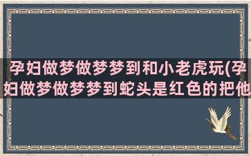 孕妇做梦做梦梦到和小老虎玩(孕妇做梦做梦梦到蛇头是红色的把他踩死)