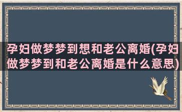 孕妇做梦梦到想和老公离婚(孕妇做梦梦到和老公离婚是什么意思)