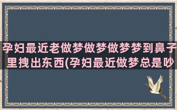 孕妇最近老做梦做梦做梦梦到鼻子里拽出东西(孕妇最近做梦总是吵架)