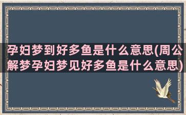 孕妇梦到好多鱼是什么意思(周公解梦孕妇梦见好多鱼是什么意思)