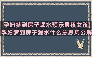 孕妇梦到房子漏水预示男孩女孩(孕妇梦到房子漏水什么意思周公解梦)