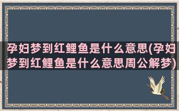 孕妇梦到红鲤鱼是什么意思(孕妇梦到红鲤鱼是什么意思周公解梦)