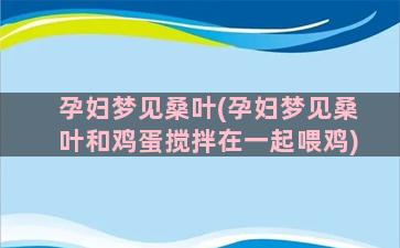 孕妇梦见桑叶(孕妇梦见桑叶和鸡蛋搅拌在一起喂鸡)