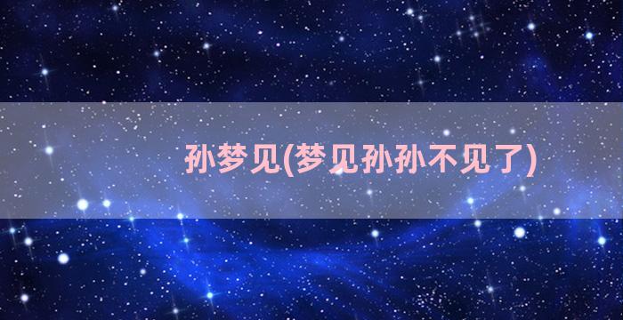 孙梦见(梦见孙孙不见了)