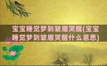 宝宝睡觉梦到皱眉哭醒(宝宝睡觉梦到皱眉哭醒什么意思)