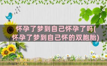 怀孕了梦到自己怀孕了吗(怀孕了梦到自己怀的双胞胎)