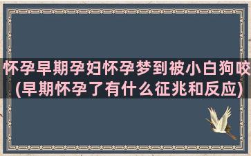 怀孕早期孕妇怀孕梦到被小白狗咬(早期怀孕了有什么征兆和反应)