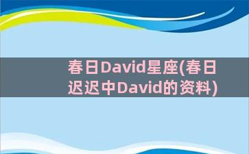 春日David星座(春日迟迟中David的资料)