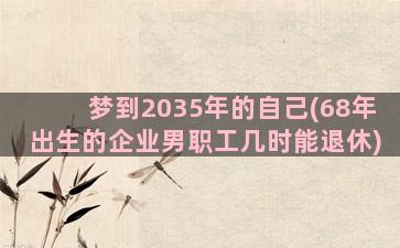 梦到2035年的自己(68年出生的企业男职工几时能退休)