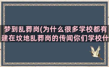 梦到乱葬岗(为什么很多学校都有建在坟地乱葬岗的传闻你们学校什么情况)