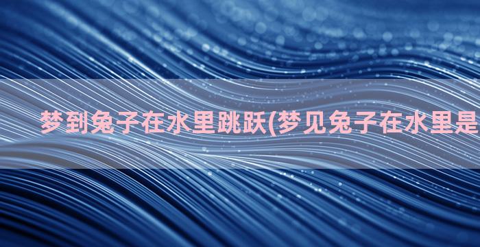 梦到兔子在水里跳跃(梦见兔子在水里是什么预兆)