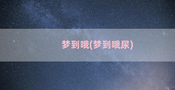 梦到哦(梦到哦尿)