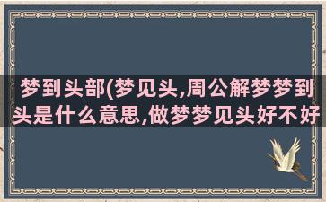 梦到头部(梦见头,周公解梦梦到头是什么意思,做梦梦见头好不好)