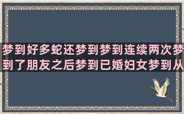 梦到好多蛇还梦到梦到连续两次梦到了朋友之后梦到已婚妇女梦到从未梦到过的女同学(先是梦到蛇又梦到狼)