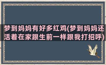 梦到妈妈有好多红鸡(梦到妈妈还活着在家跟生前一样跟我打招呼)