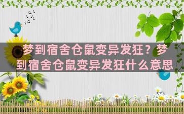 梦到宿舍仓鼠变异发狂？梦到宿舍仓鼠变异发狂什么意思