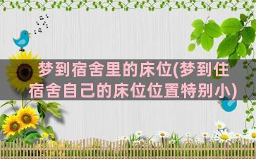 梦到宿舍里的床位(梦到住宿舍自己的床位位置特别小)