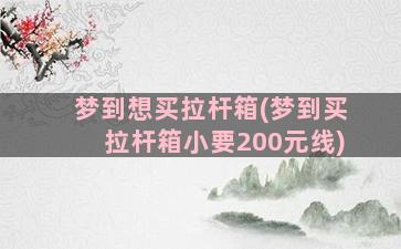 梦到想买拉杆箱(梦到买拉杆箱小要200元线)